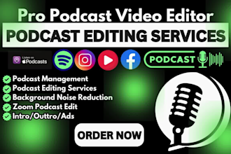 do podcast video audio reels post production background dialogue zoom editing