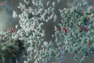 do high quality 3d medical animation video and modeling surgery anatomy product
