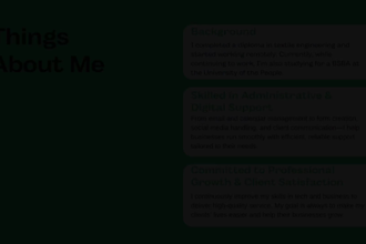 be your virtual assistant for admin and customer service