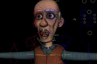 fix 3d model, facial rig, arkit rokoko rig, iclone8, ik fk switch, 3d animation