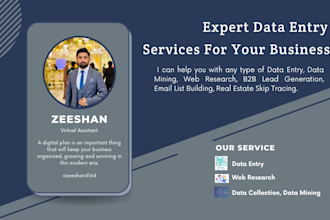do data entry, data mining, copy paste, web research for you