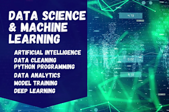 do machine learning, data science, python, r, and excel projects