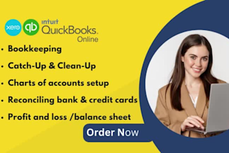 do xero, quickbooks online setup, catch up, cleanup and bookkeeping