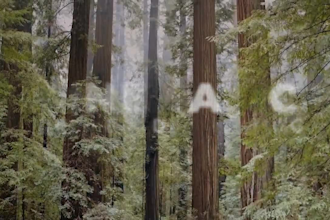 scenic crime video for your youtube and any of your social media