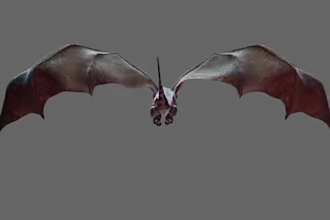 do 3d dragon model 3d animal model 3d dinosaur 3d animation for printing