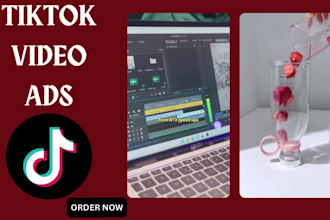create viral tiktok video ads, dropshipping ads, tik tok ads