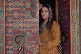 do professional video color grading and color correction
