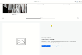 build shopify store for ecommerce store