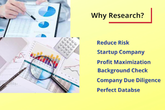 conduct company and director research