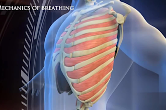 do realistic 3d medical video 3d medical animation 3d dental animation 3d video