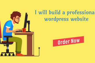 build a professional wordpress website