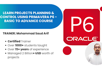 provide online professional primavera p6 training basic level only