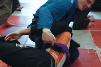 teach you jiu jitsu online