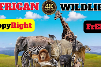 create wildlife animals copyright free videos for youtube, fb page