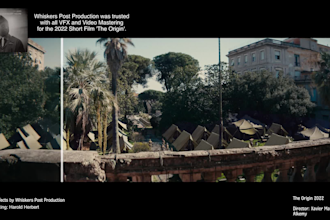 carry out rig removal, cleanups, beauty retouches, rotoscoping and chromakeying