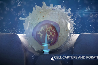 do 3d medical animation biotech synthetic immunology diagnostic biosensors video