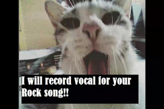 record male vocals for your punkrock and grunge