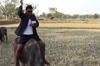 create a funny GANGNAM style video on buffalo top