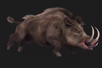 create 3d character rig and animate, 3d animal animation, animal animation video