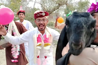 do funny african happy birthday video or funny style video for you
