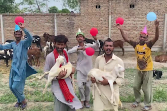 african happy birthday video african happy birthday video