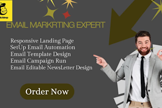 set up mailerlite email marketing automation and design quality landing page