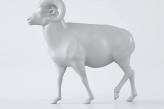 make 3d animal animation, cgi animal model,  animal rigging, cgi animal  animate