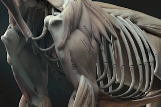 3d animal animation, 3d animal model, cgi animal , animal fur