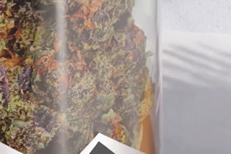 create cannabis marijuana weed promo videos or ad graphics