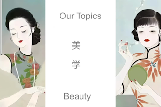 provide tailor made chinese language courses