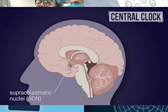 create an interactive scientific powerpoint for research, funding, or teaching