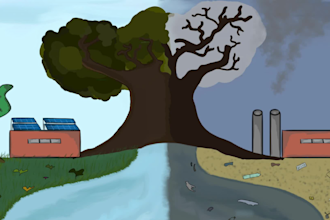 2d animation or cartoon video