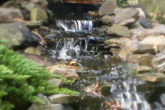 create your home garden design you get a plant list with pro 2d landscape plan
