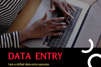 do accurate data entry, copy paste, web research, PDF to word or excel