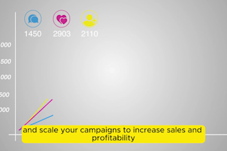do amazon fba PPC ads campaign manage sponsored ads and amazon PPC optimization