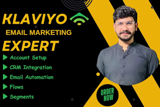 be your expert klaviyo email marketer