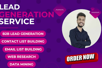 provide b2b lead generation, data entry, web research