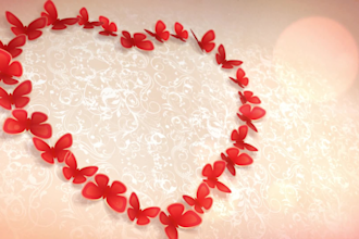 create a butterfly logo animation