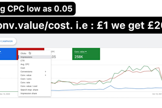 setup google PPC ads campaign and do face to face review