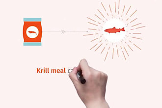 create ai videos, explainer videos, e learning content ai spokesperson