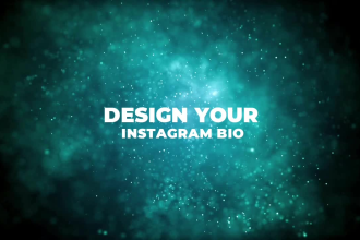 make a highly engaging and performing seo instagram  bio or facebook bio