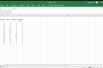 do ms excel data cleaning, formatting, sorting, and splitting