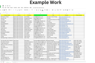do verified list b2b and lead gen title decision maker vp director CEO owner etc