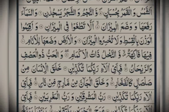 teach quran online with  tajweed to kids and adults
