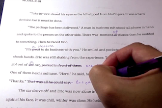 do scripts for essay videos