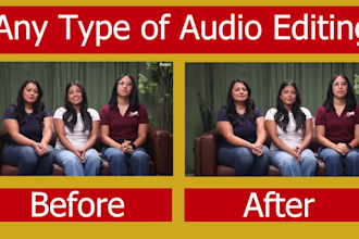 professional video or audio noise reduction audio editing in 24 hours