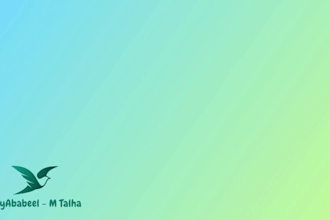 rank up react js with SEO optimization