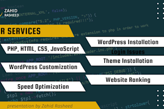 professional wordpress bug fixing and error resolution services