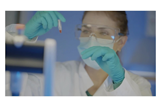 help in anatomy, molecular biology, genetics, biochemistry essays