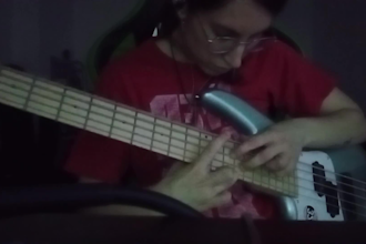 professionally teach you how to play the bass and the guitar